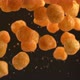 Cheese puffs in super slow motion.  Shot on Phantom Flex 4K high speed camera. - VideoHive Item for Sale