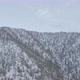 Winter Snowy Forest in the Mountains - VideoHive Item for Sale
