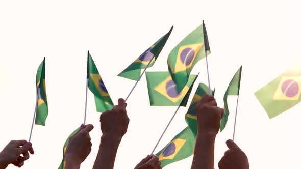 Hands Holding Flags of Brazil