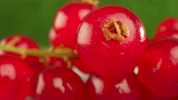 Redcurrants on a Wooden Table