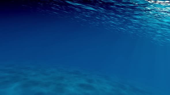 underwater animation