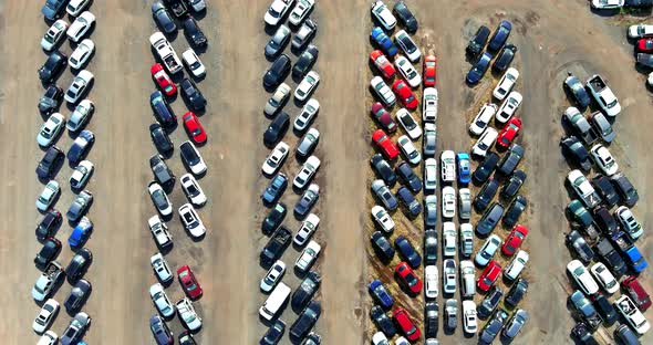 Cars Terminal Parked a Parking in Used Car Auction Lot