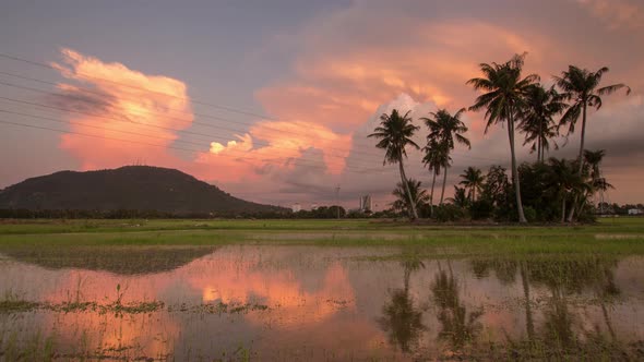 Timelapse amazing red cloud formation over the coconut trees 