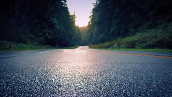 Moving Over Forest Road At Sunrise