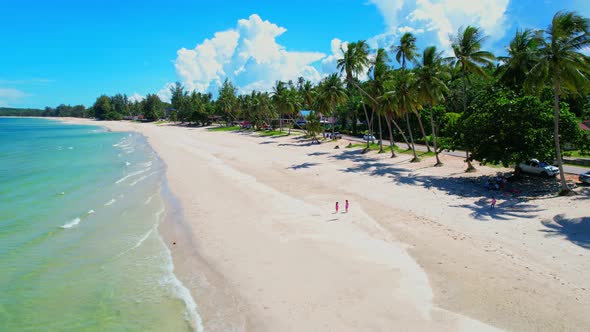 Drone flying at the tropical white beach with coconut trees