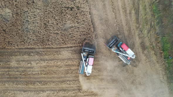 Harvester in the rice field