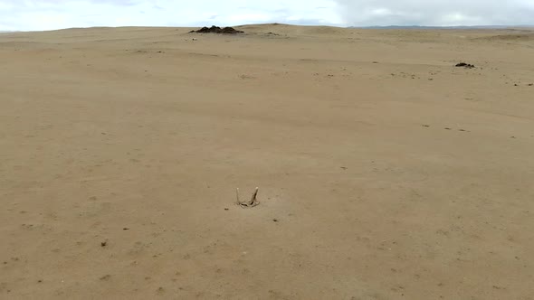 Deer Stones Stele in the Desert