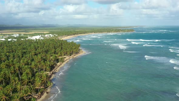 Wild Tropical Coastline with Coconut Palm Trees and Turquoise Caribbean Sea