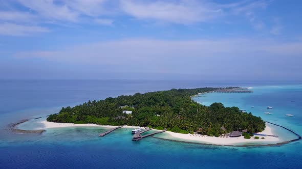 Aerial drone abstract of exotic resort beach wildlife by blue lagoon with sand background