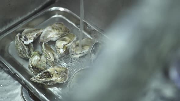 Water Runs Into Tray with Oysters in Metal Sink in Kitchen