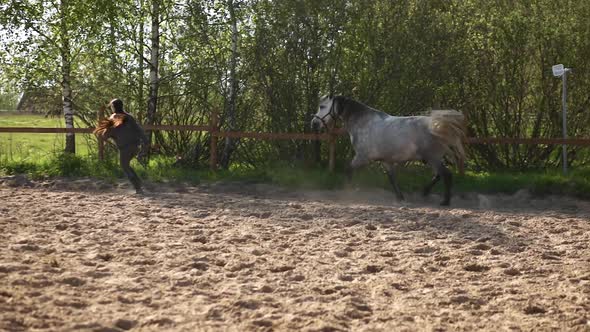Young Female Equestrian with Long Hair Runs with Grey Horse During Training
