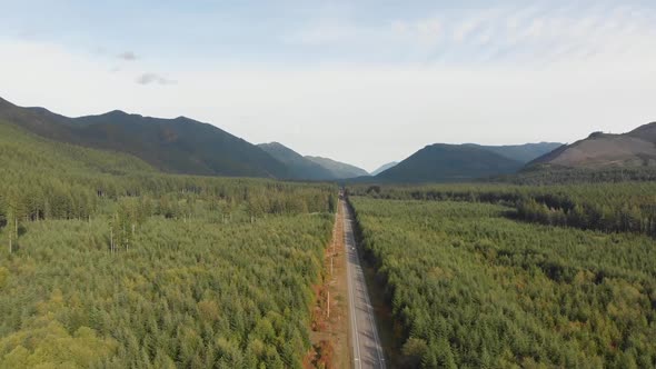 Rising aerial view of a managed forest outside of Olympic National Park, Washington, USA.  Prior lum