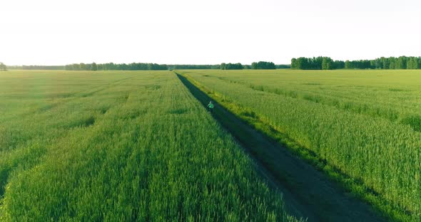 Aerial View on Young Boy, That Rides a Bicycle Thru a Wheat Grass Field on the Old Rural Road