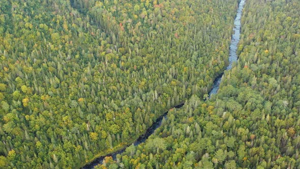 Drone footage flying towards a straight stretch in a forest stream.