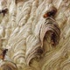 Wasp Hive With Active Wasps II - VideoHive Item for Sale