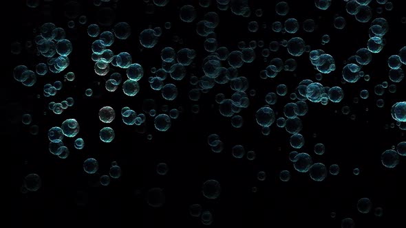 Bubbles Transparent Background