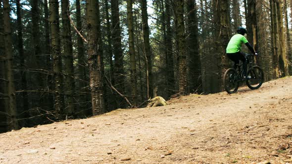 Mountain biker riding bicycle in forest