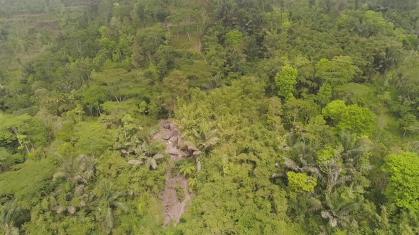 Tropical Landscape Rainforest and Mountains