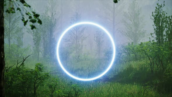 Glowing Blue Circle Light in the Rainy Foggy Forest