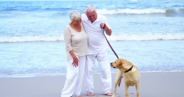 Happy senior couple playing with dog on the beach