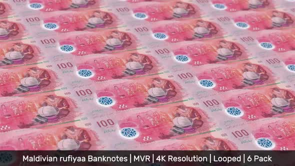 Maldives Banknotes Money / Maldivian rufiyaa / Currency Rf / MVR / 6 Pack - 4K