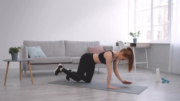 Lady Exercising Standing On AllFours Lifting Hand And Leg Indoors