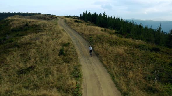 Drone Mountains Biking Male Among Charming Green Spruces Against Cloudy Sky