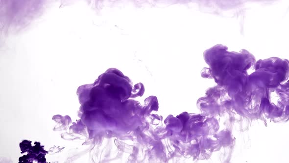 Purple Paint Swirls in Water