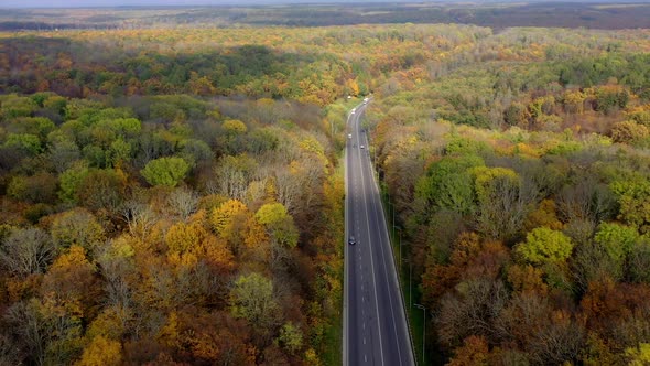 Autumn scenery and a highway.