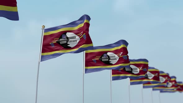 Eswatini Row Of Flags