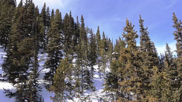 Cable car ascending looking to forested Snowy hillside Landscape. Banff