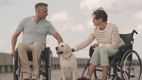 Wheelchair Couple with Labrador Retriever Outdoors