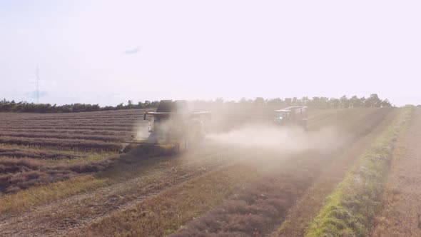 Drone Of Combine And Tractor Harvesting Dusty Crops