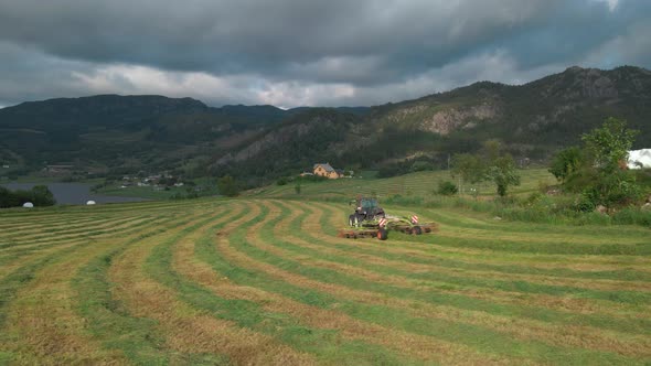 Tractor-drawn Grass Turner Working On Windrowed Grass At The Field In Norway With Overcast. wide dro