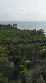 Zanzibar Tanzania  Ocean Shore Covered with Green Thickets Vertical Video