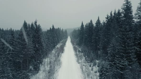 Aerial View From Drone on Car Driving Through Winter Snow Covered Forest