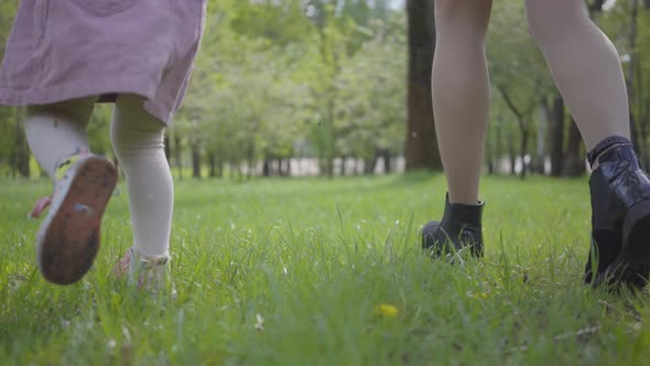 Legs of Young Mother and Little Girl Running in the Park on the Green Grass Holding Hands Close Up