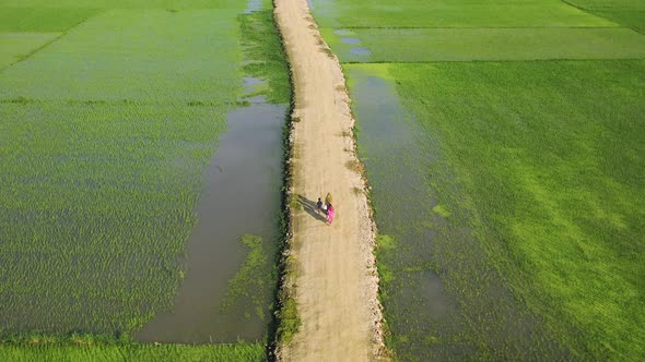 Aerial view of people walking in field, Bangladesh.