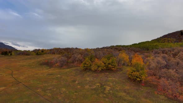 Panoramic aerial view of a mountain meadow and forest in autumn with the fall colors brightly displa