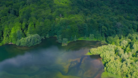 Beautiful Green Waters of Lake with Pine Trees