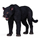 Black Panther - 3DOcean Item for Sale