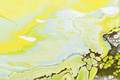 Fluid acrylic painting in green and yellow colors - PhotoDune Item for Sale