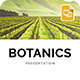 BOTANICS - Organic Agriculture Farm Presentation Google Slides Template - GraphicRiver Item for Sale