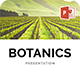 BOTANICS - Organic Agriculture Farm Presentation Powerpoint Template - GraphicRiver Item for Sale