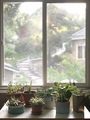 A Variety of Succulents in Front of a Window Facing a Terraced Hill - PhotoDune Item for Sale