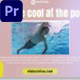 Swimming Pool Promo |MOGRT| - VideoHive Item for Sale