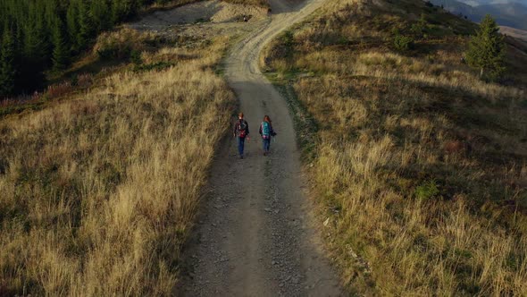 Couple Trekking Forest Road Aerial View Walking Among Yellow Grass Warm Day