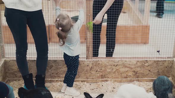 Little Girl Was Scared of the Number of Rabbits