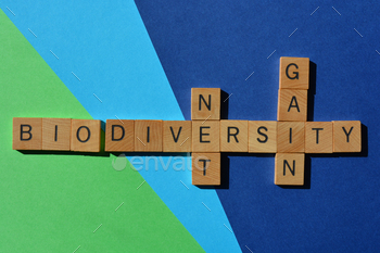 letters in crossword form isolated on blue and green background