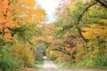 Country dirt road in the Fall season colorful foliage  - PhotoDune Item for Sale